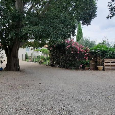 Villa L'Estel En Campagne Avec Piscine Privee Proche Arles Et Avignon Тараскон Экстерьер фото