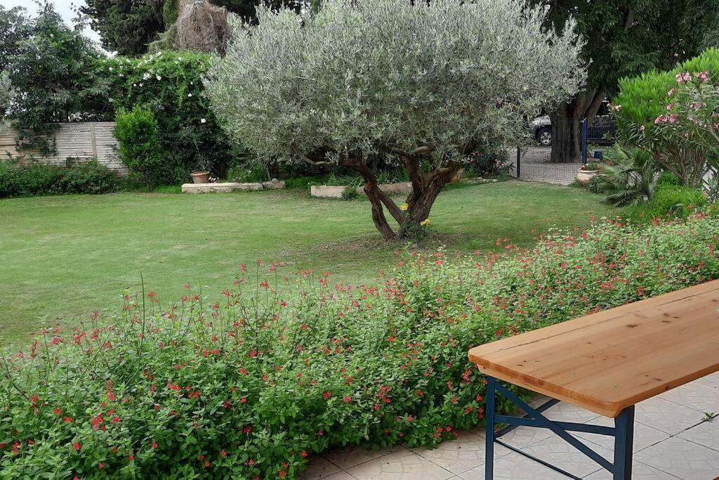 Villa L'Estel En Campagne Avec Piscine Privee Proche Arles Et Avignon Тараскон Экстерьер фото